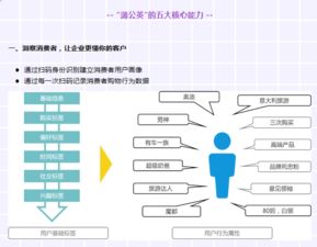 精準化數(shù)字營銷新航標 為何選擇CCN中商蒲公英營銷數(shù)字化解決方案